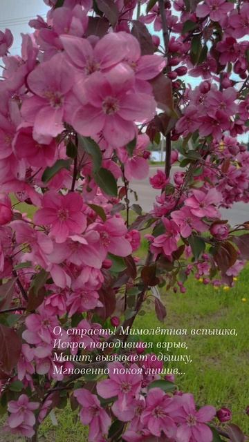 24.05.25 АЗ #ниднябезрифмы