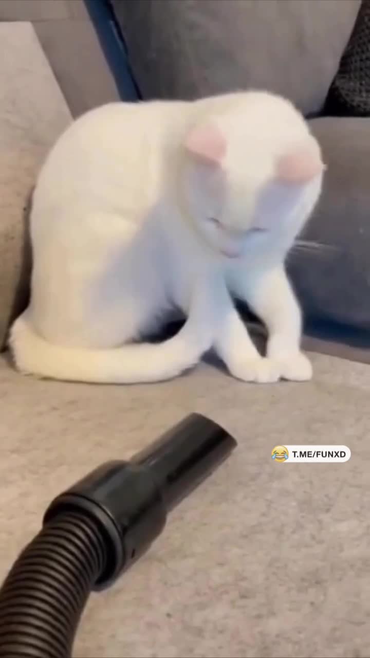 Получил поцелуй😁