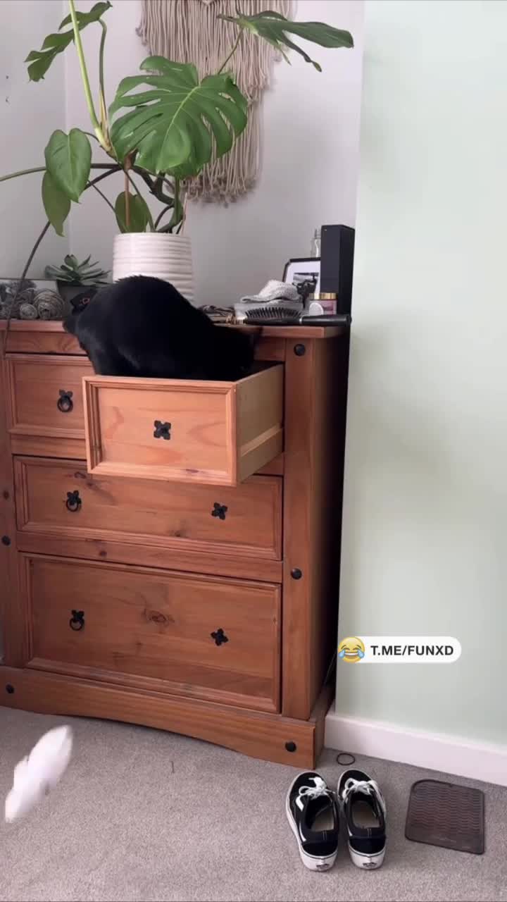 Им тут не место!🤣