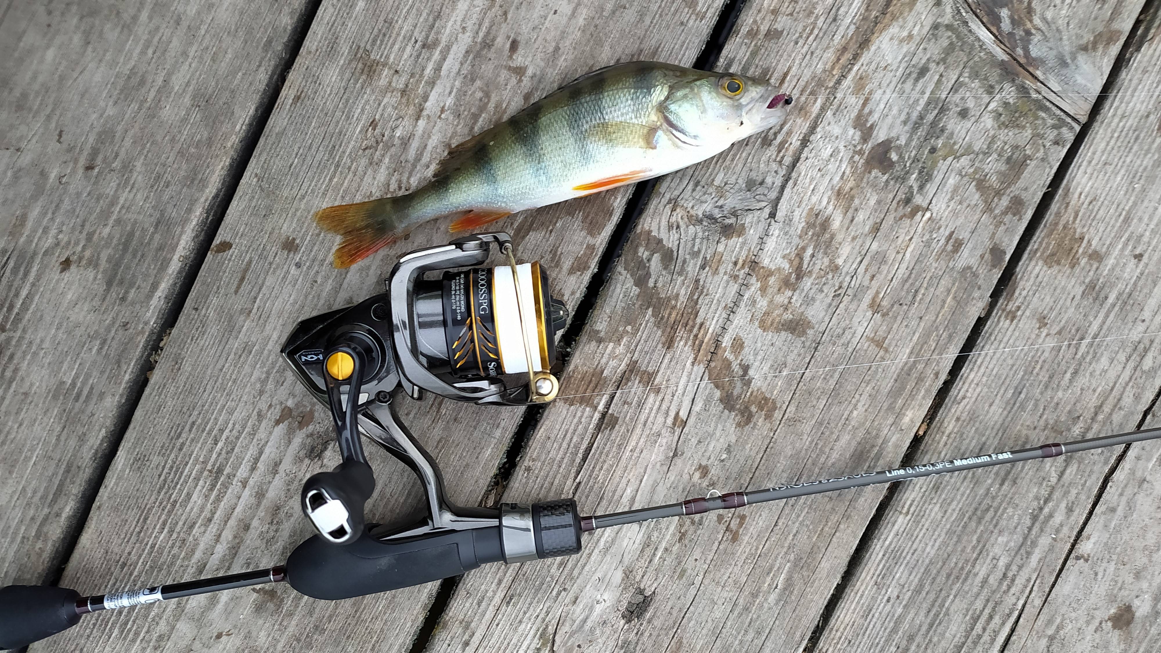 МОРМЫШИНГ. Черневские пруды, утром 17 мая 2025 года