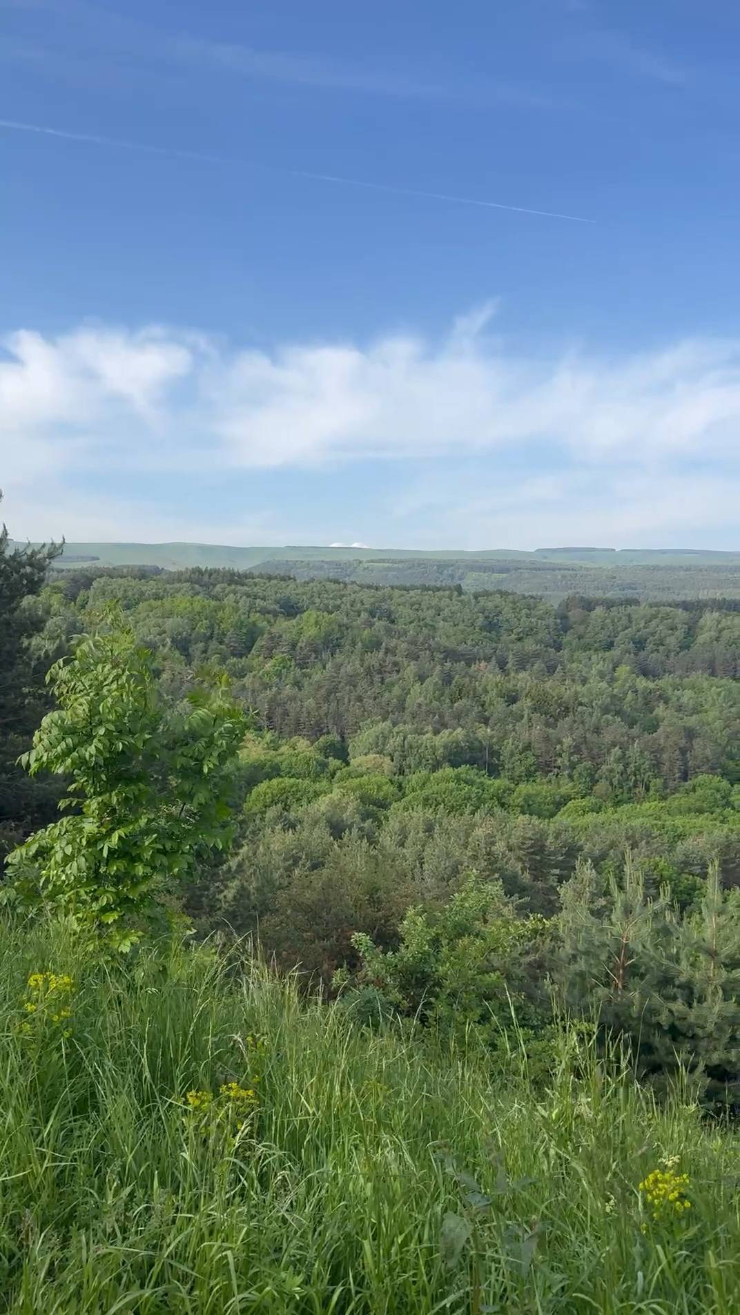 Погода в Кисловодске конец мая 2025