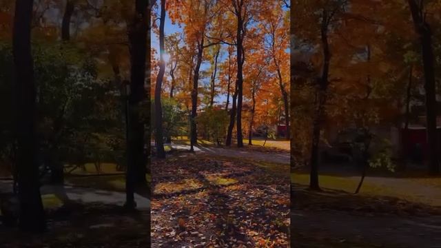 96 Braxton - Spanish видеозалипалка