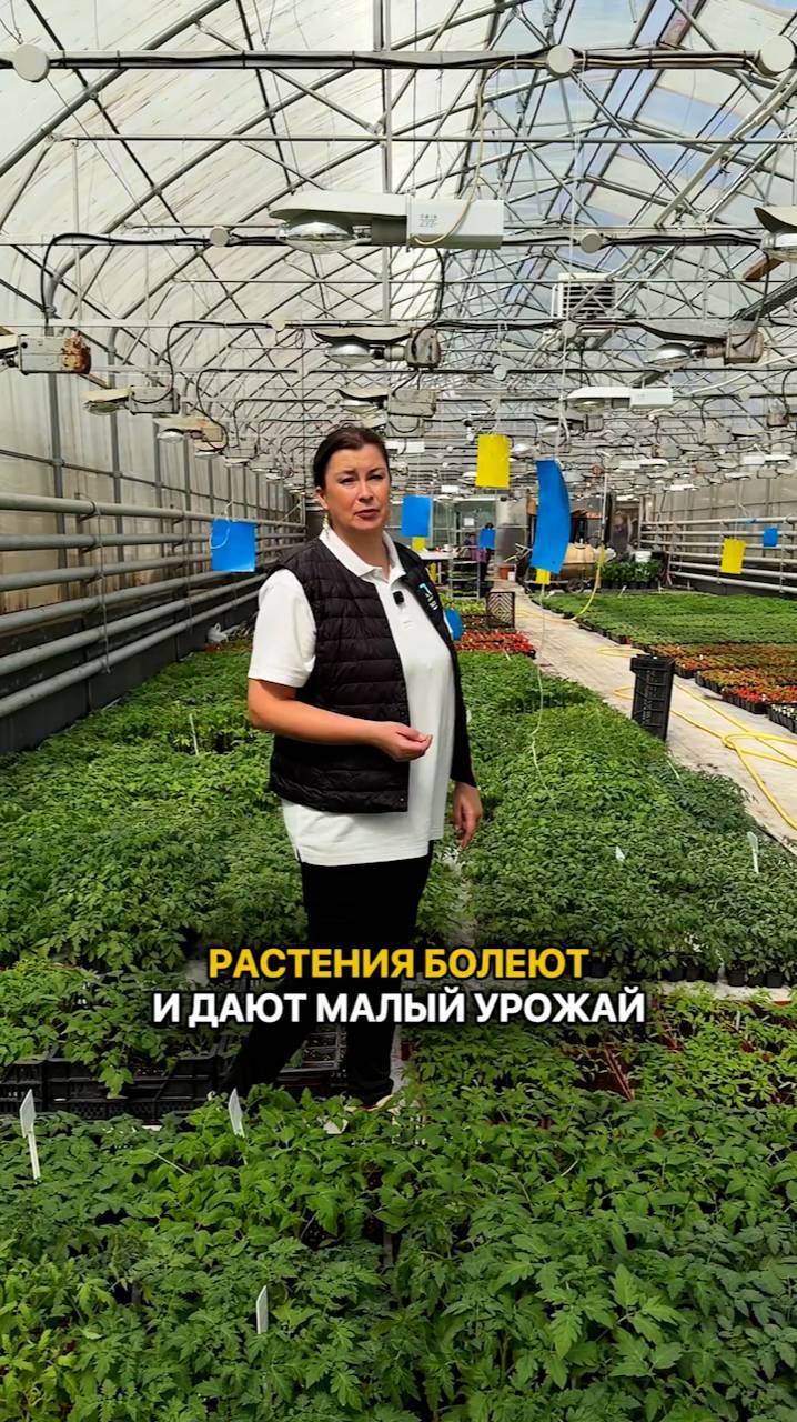 Растения болеют и дают малый урожай по ЭТИМ ПРИЧИНАМ.