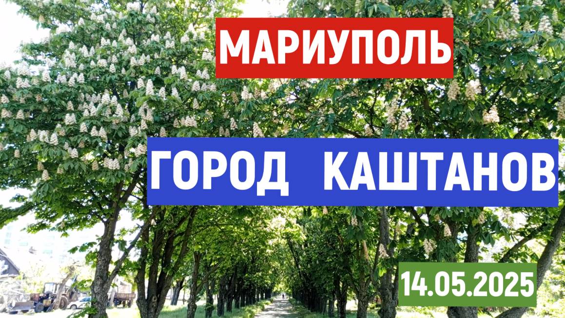 МАРИУПОЛЬ - ГОРОД КАШТАНОВ 14.05.2025