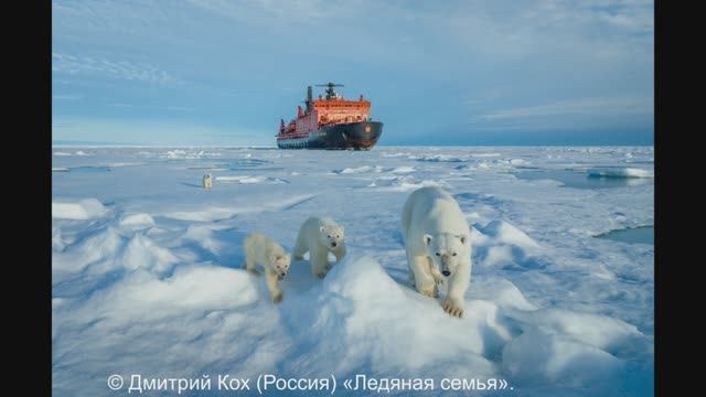 Об итогах  Siena International Photo Awards 2023. Архив