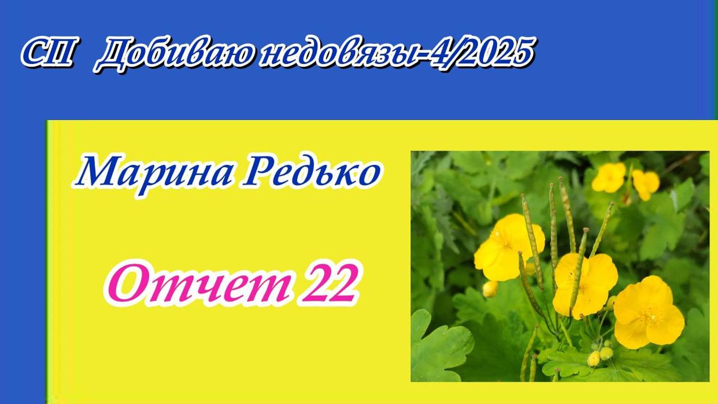 СП "Добиваю недовязы 4/2025" / Отчет 22