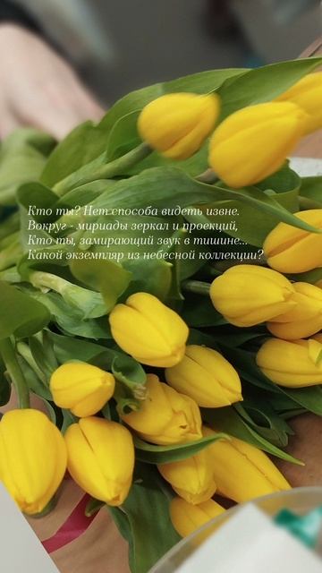 28.05.25 АЗ #ниднябезрифмы