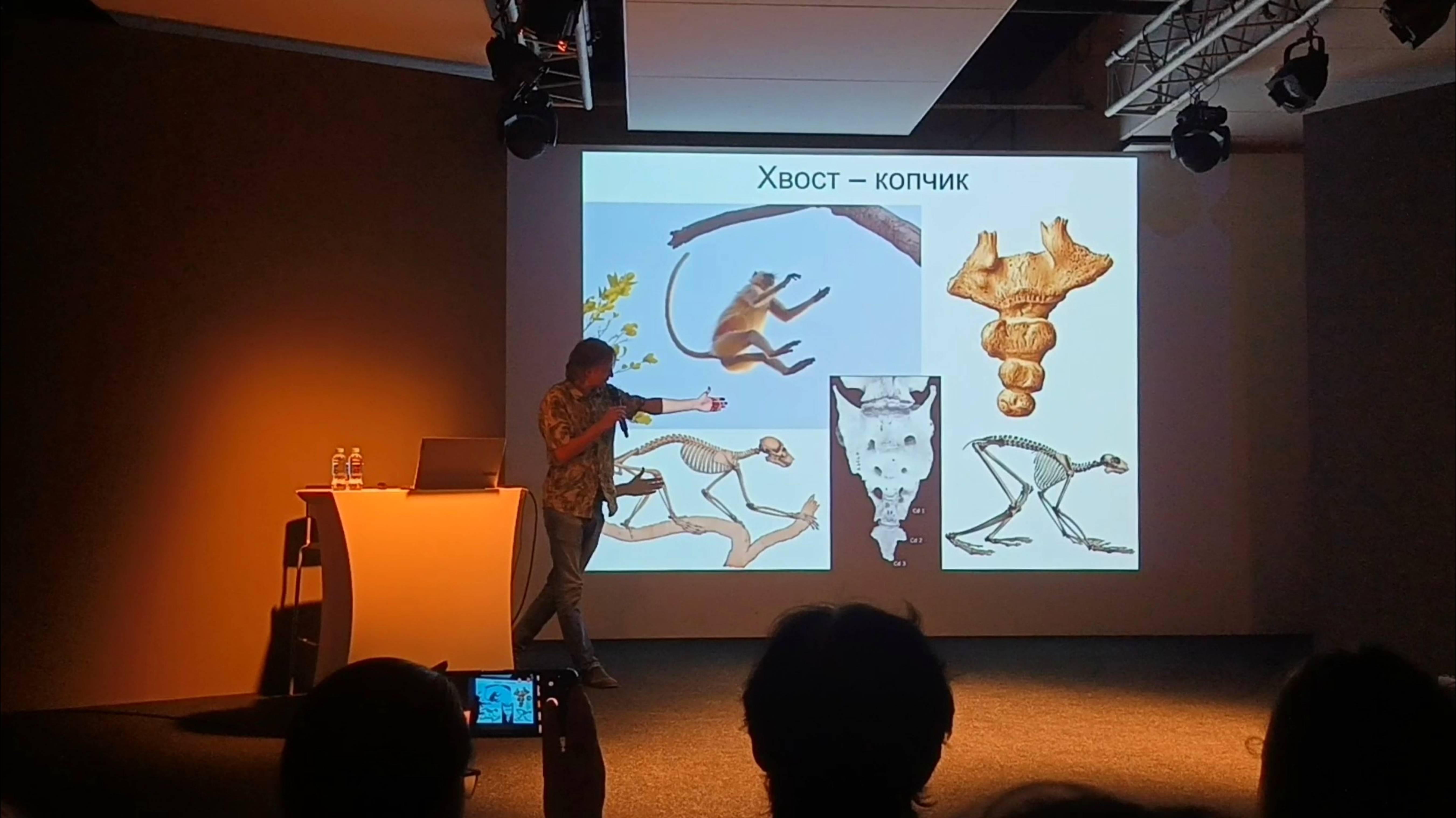 Дробышевский С.В. про наш копчик (хвост)))...