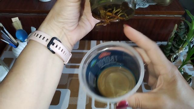 Морковки чудят 😳 За помощью к Катерине 🙏🆘 Часть 1.