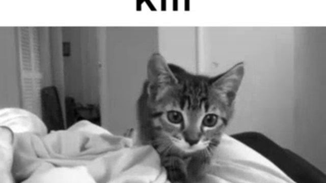 kill