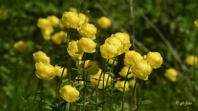 Весна на Новгородчине