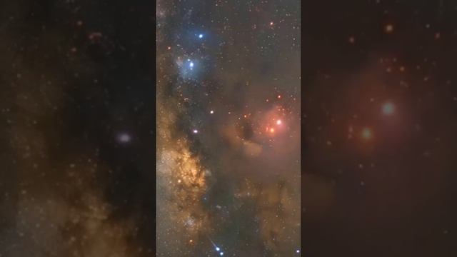 Буддавачана  #shorts