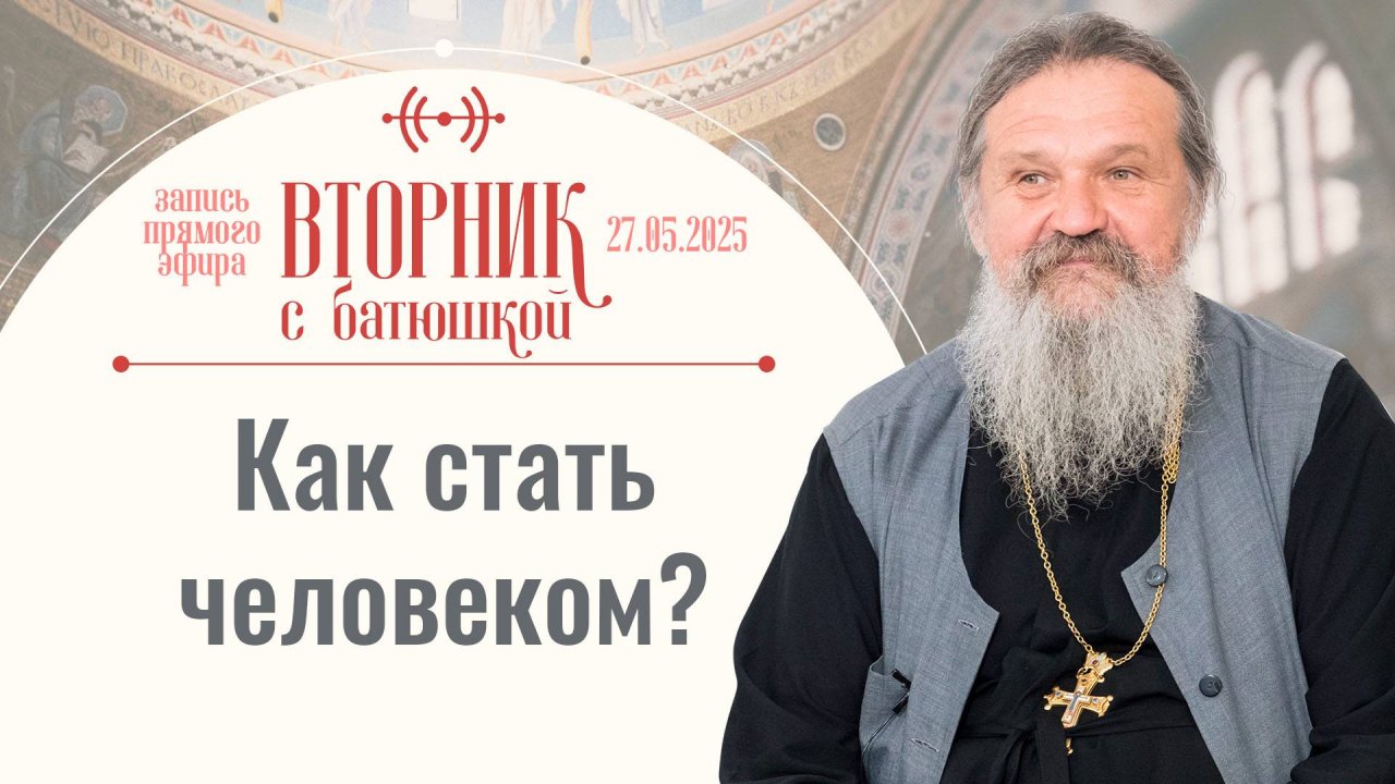 Где взять силы выжить в войне? Вторник с батюшкой. Беседа с от. Андреем Лемешонком 27 мая 2025