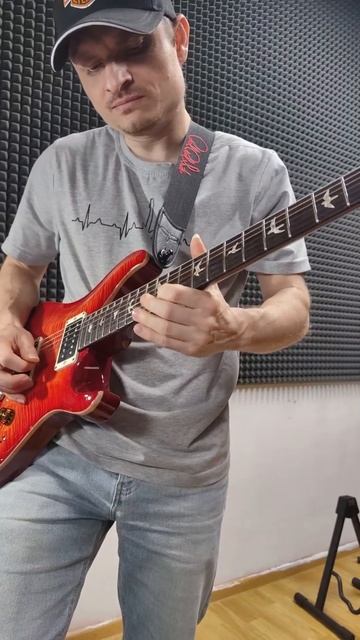 Love Thing Joe satriani guitar cover prs custom 22