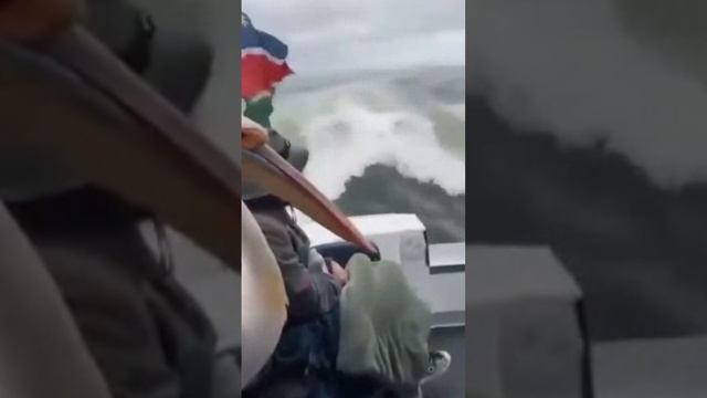 Их никто не звал