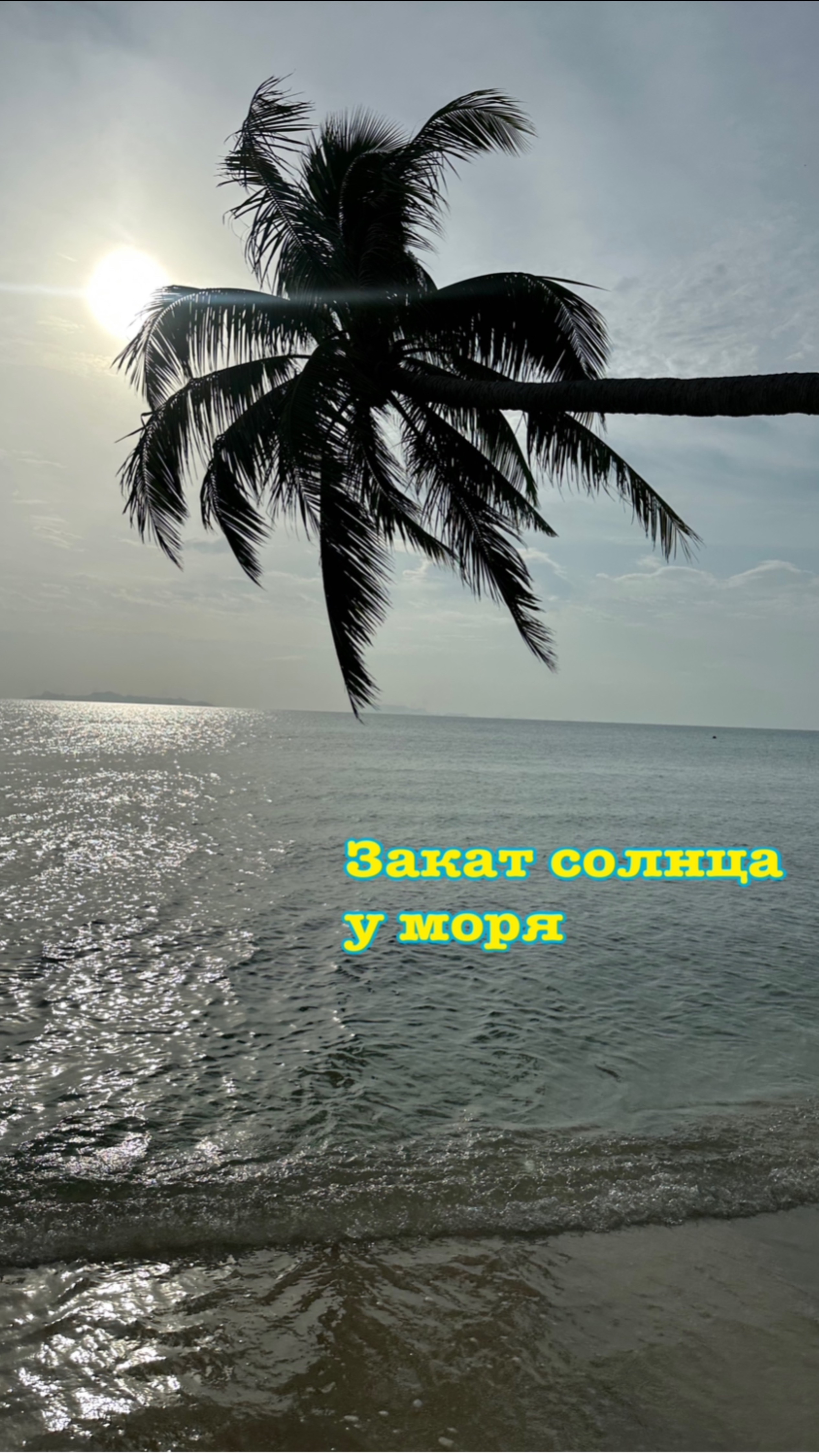 Закат солнца у моря на острове Самуи. Пальмы, море зовут нас.