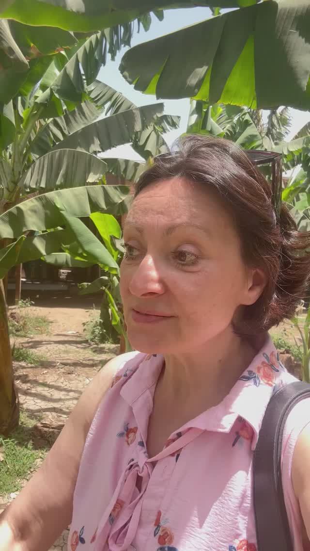 Банановый остров. Город Люксор. Египет.