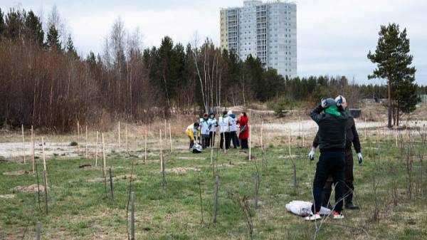 В Фёдоровском создали яблоневый сад в честь 80-летия Великой Победы