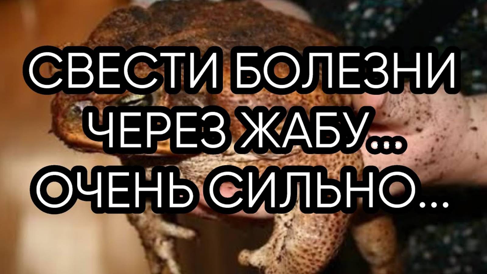СВЕСТИ БОЛЕЗНИ ЧЕРЕЗ ЖАБУ...ОЧЕНЬ СИЛЬНО...ДЛЯ ВСЕХ....
