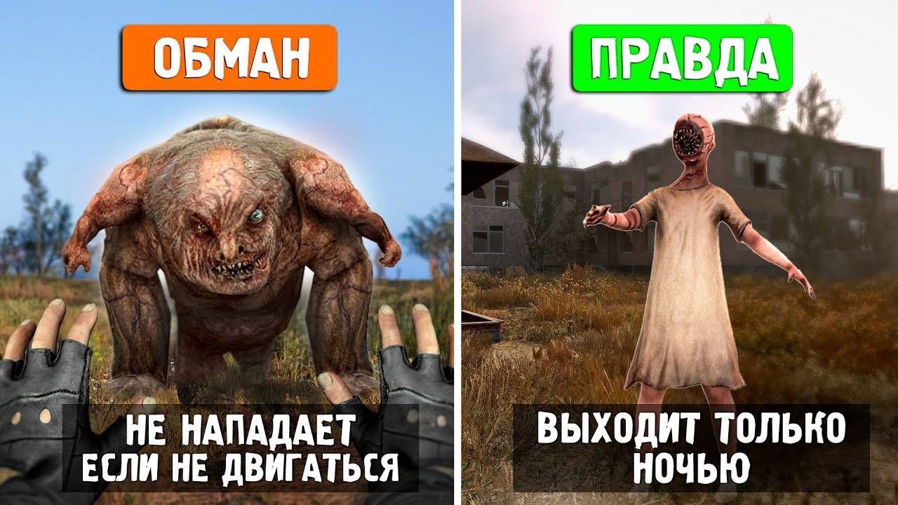 10 СУМАСШЕДШИХ МИФОВ из STALKER 2 - Правда или Обман