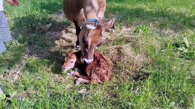 ВОТ ТАКИЕ У НАС ТУТ НОВОСТИ