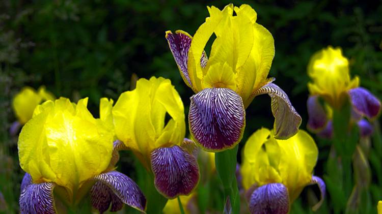 носки из одной расцветки май 2025