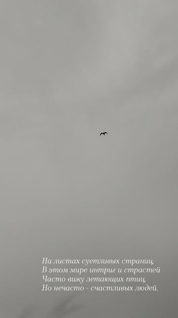 29.05.25 АЗ #ниднябезрифмы