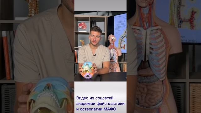 Вокальный «МЬЮИНГ»