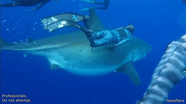 Невероятные случаи нападения животных на человека.