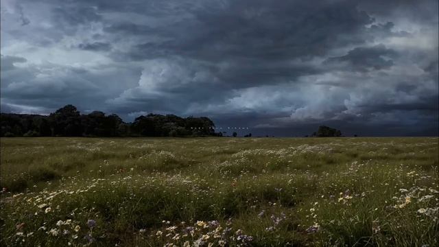 -Dhruv Rathod- Playlist