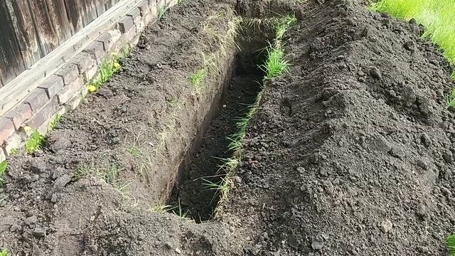 Градка для Винограда