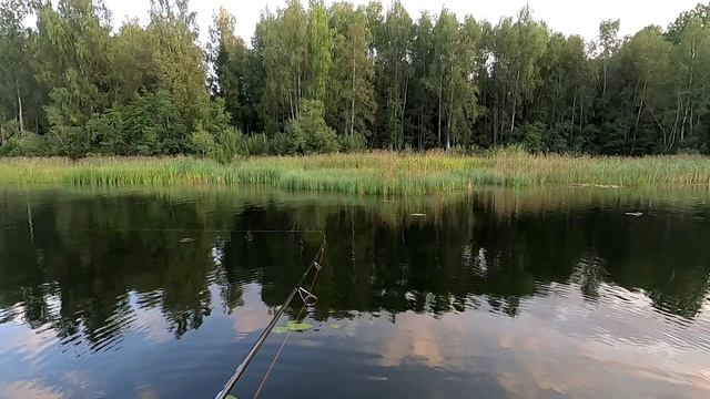Ловлю на спиннинг и дорожкой, изучаю озеро