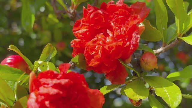 Вечер в сквере