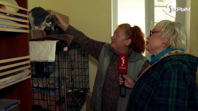 Клуб Шико. Выпуск от 31.05.25