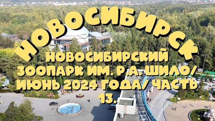 Новосибирский зоопарк имени Р.А. Шило. Июнь 2024 года. Часть 13.