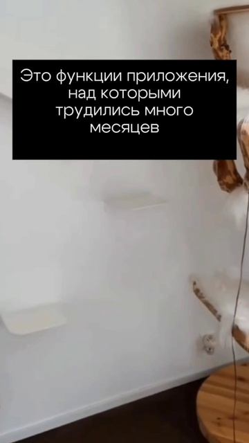 Реальные функции приложения