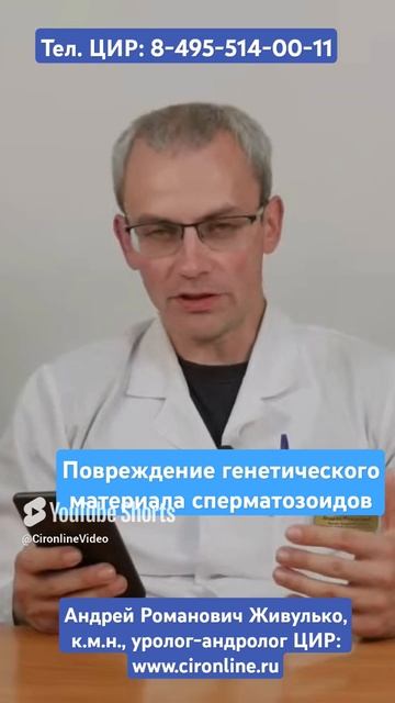 Фрагментация ДНК сперматозоидов: как фрагментация ДНК влияет на закладку плаценты.