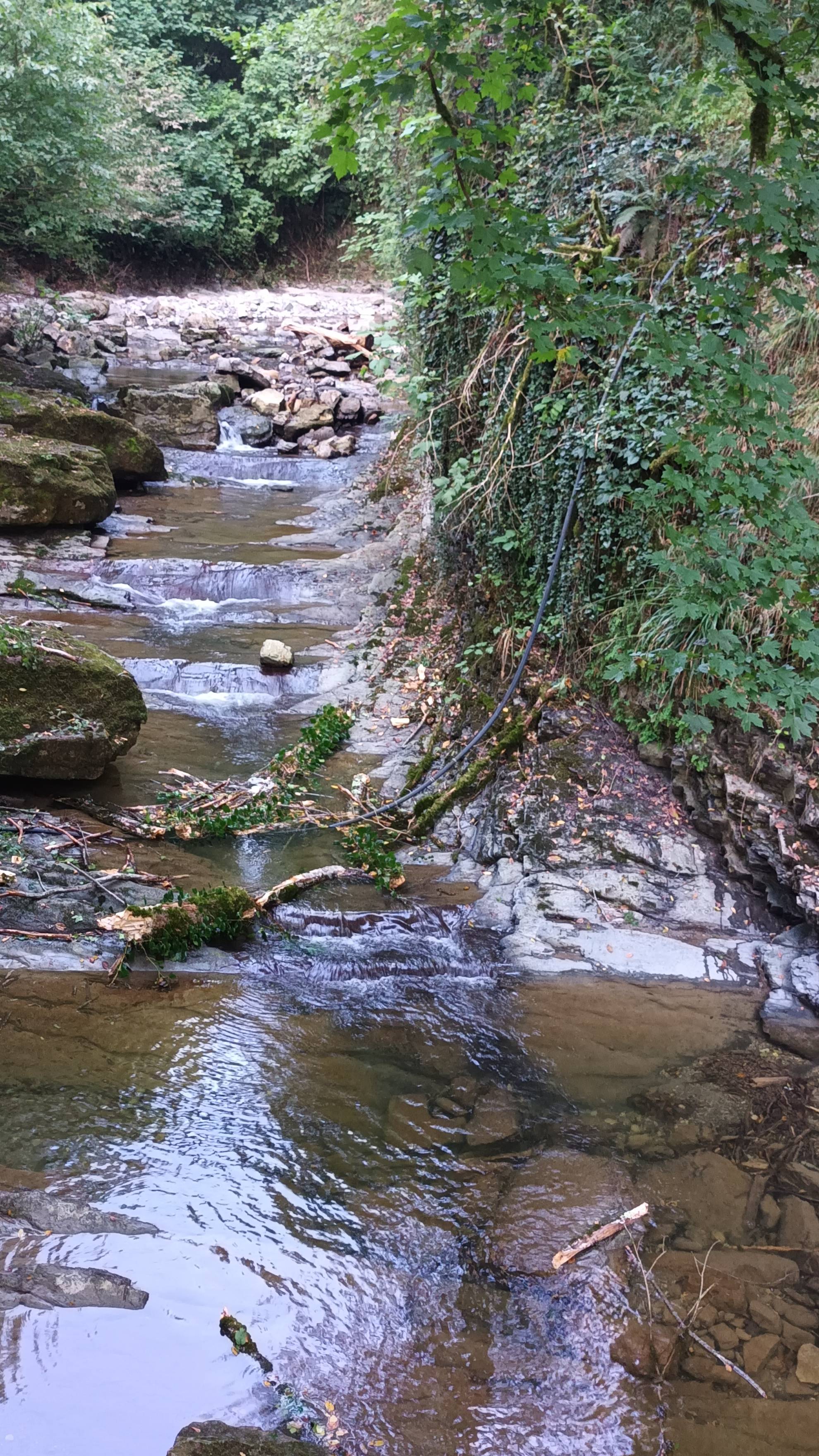 Сочи куда съездить на экскурсию