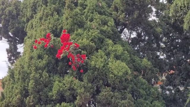 Сюрприз в санатории Южное Взморье