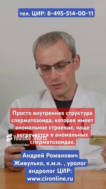 Тератозооспермия и 2 замерших беременности. Может ли тератозооспермия быть причиной невынашивания