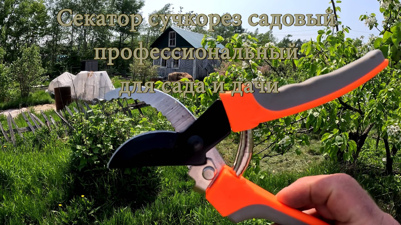 Секатор сучкорез садовый профессиональный  для сада и дачи.