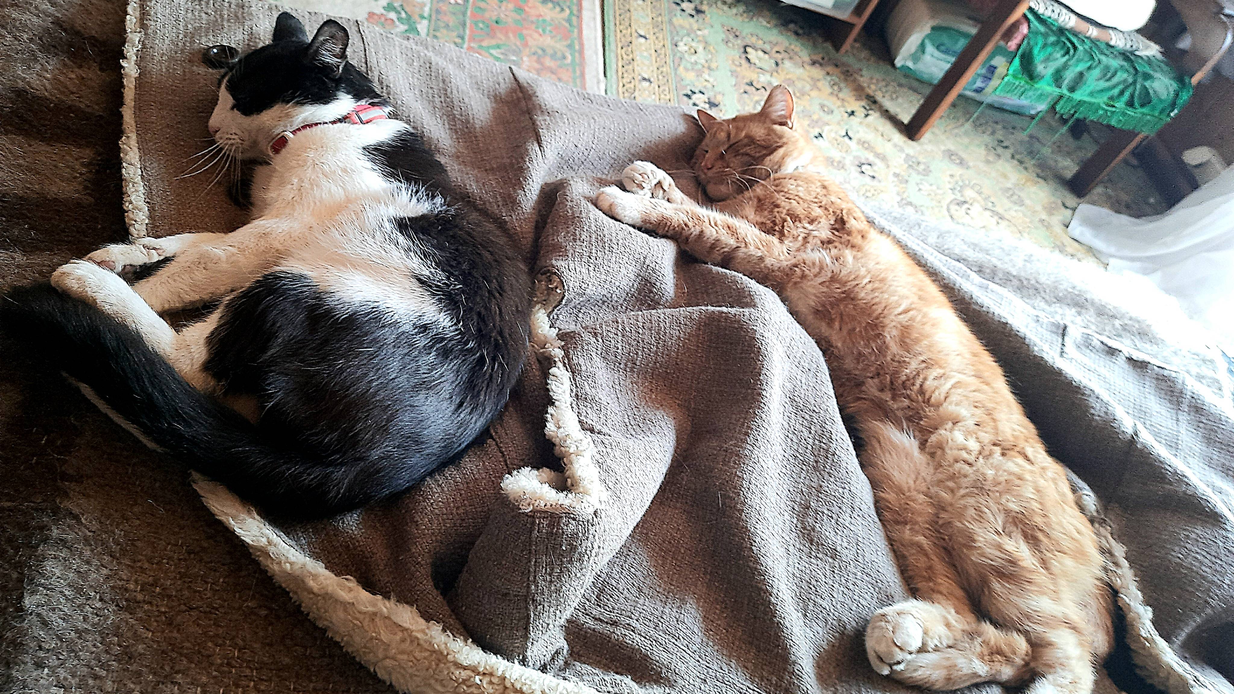 Плохая погода нам пофиг-V-2025