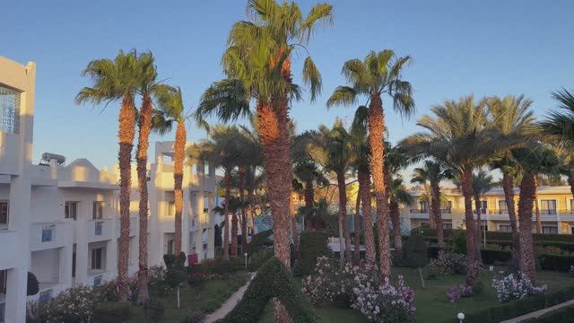 Египет. Апрель 2025 из Иркутска в Хургаду. 
Отель Мираж(Mirage Bay Resort)