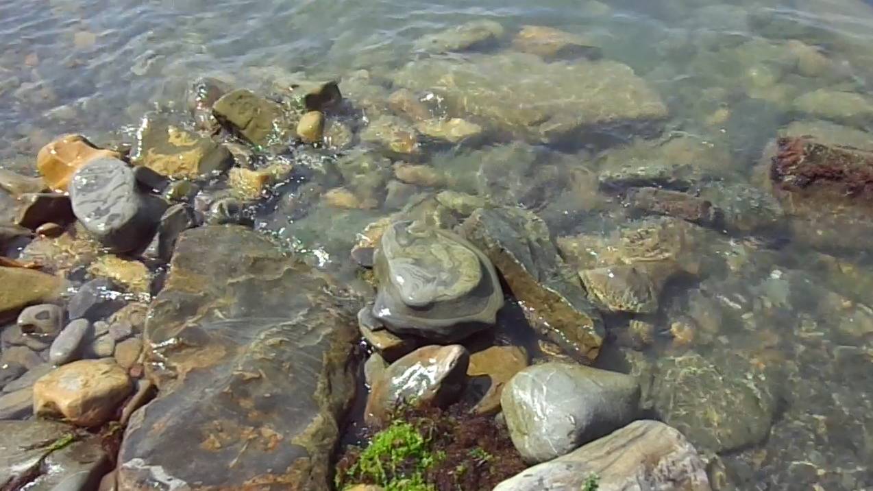 Анапа Высокий берег