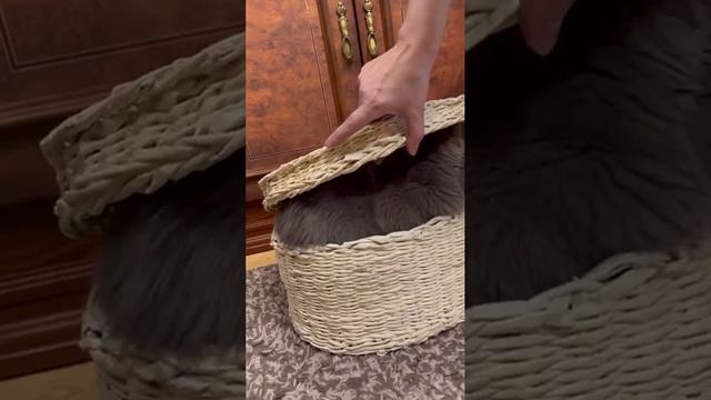 Плетеная корзина