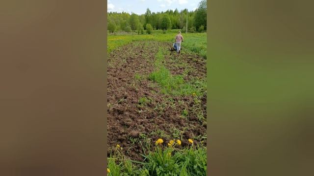 последние поле.