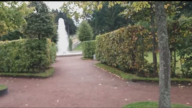 Санкт-Петербург 2019