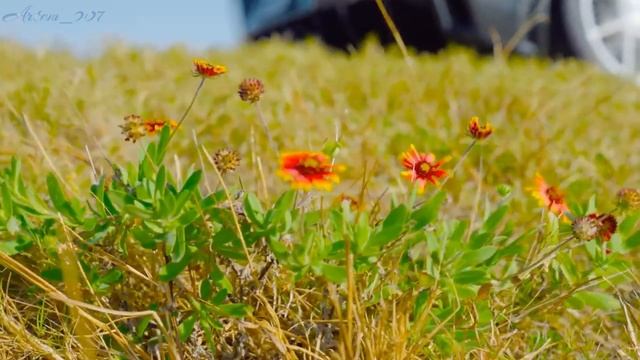 AntzoR - Fake Like That Стиль 🔥 Лайк/подписка! #Авто #video #music