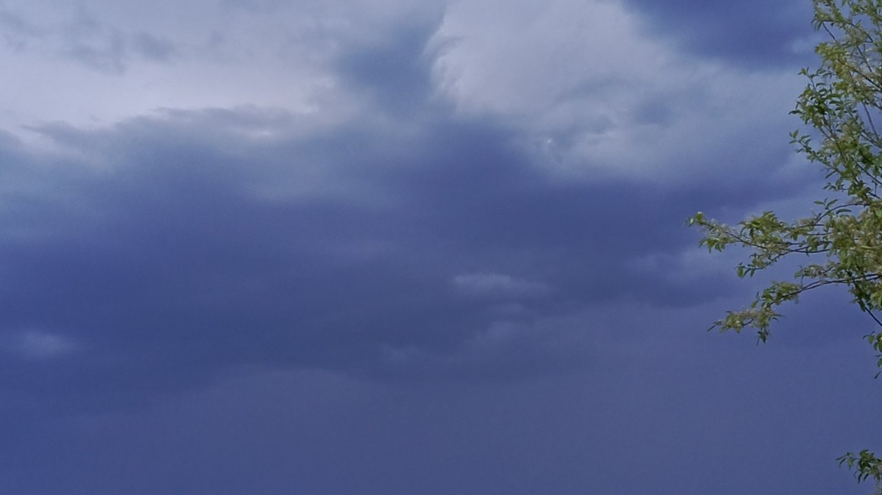 Гроза дождь и сильный ветер.