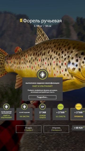 RF4 НЕОЖИДАННЫЙ ФОРЕЛЬ РУЧЬЕВАЯ ТРОФЕЙ НА БЕЛОЙ #рр4